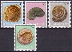 1984  Kultur: Fossilien