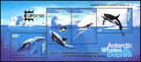 Australische Antarktis 1996  Intern....