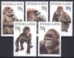 Benin 2001  Gorillas