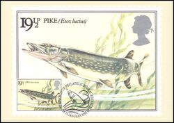 1983  Swasserfische