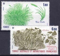 Franz. Antarktis 1987  Pflanzen der Antarktis